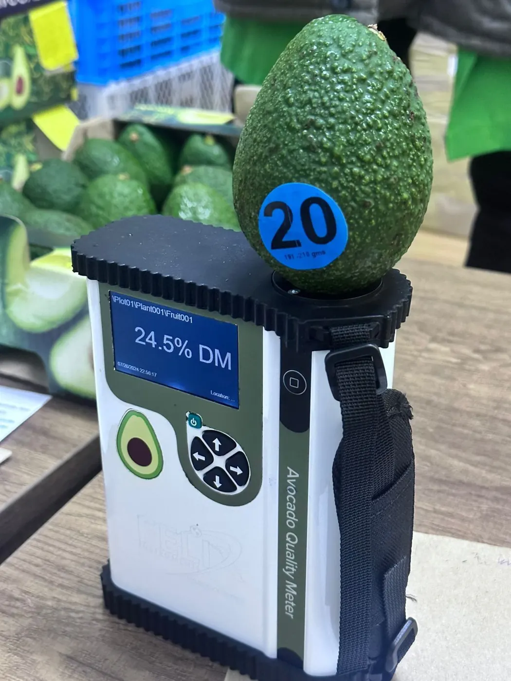 Dry matter meter reading taken on a Hass avocado before harvest