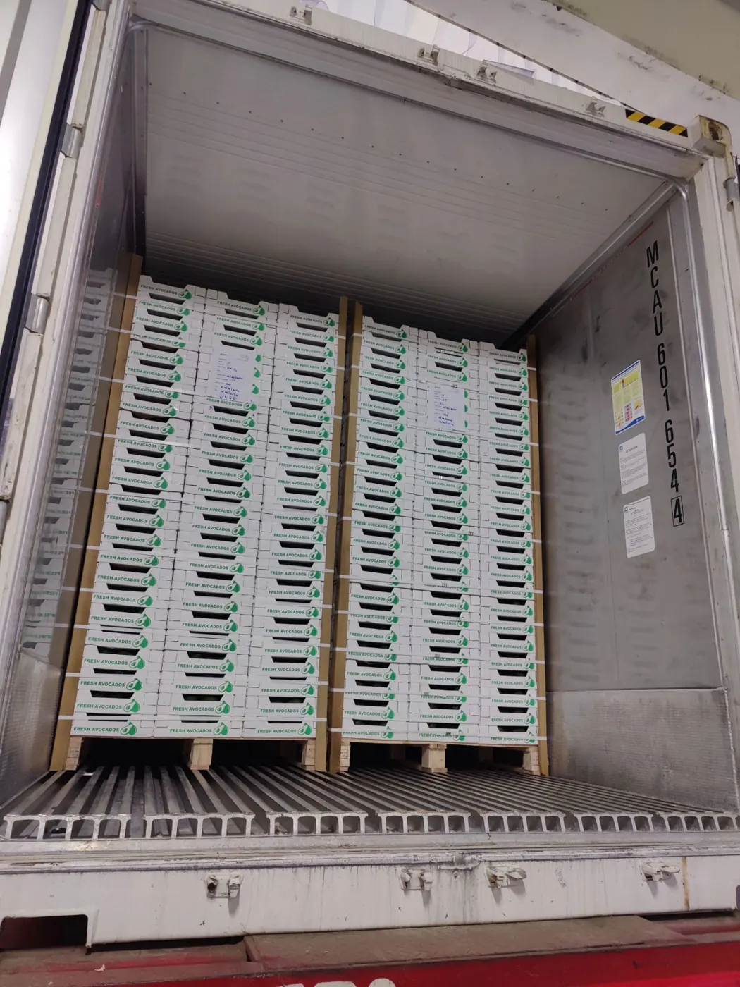Refrigerated container being loaded with palletised avocado cartons